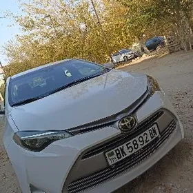 Toyota Corolla 2019