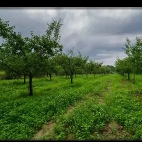 Günlik Iş gözleyän