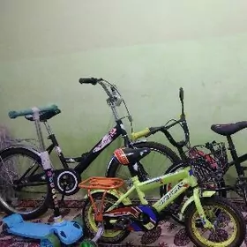 Tigir + Samokat Bile