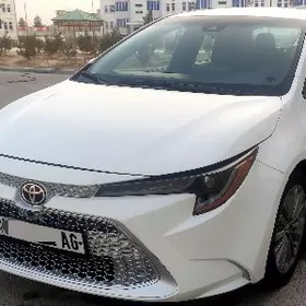 Toyota Corolla 2021