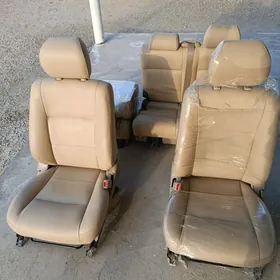 Lankruzer 100 lik sidenya