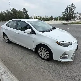 Toyota Corolla 2016