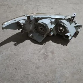 2008 okuz kelle fara