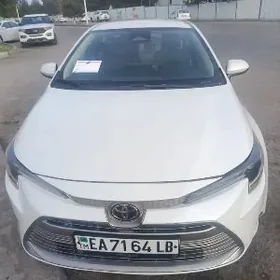 Toyota Corolla 2025