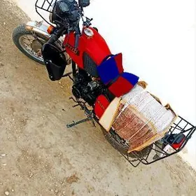 Fekon FK200-14G 2023