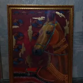 Atyñ suraty elde cekilen