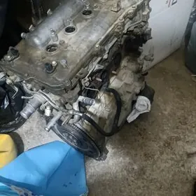 Karolla Mator karopga