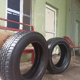 teker pakryşka