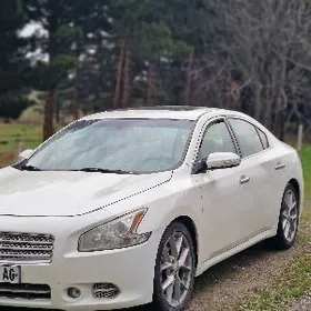 Nissan Maxima 2010