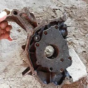 windom maslo nasos morda