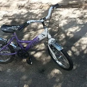  tigir 16lyk  ( täze)