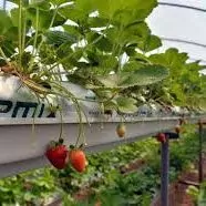 лоток для кокопита