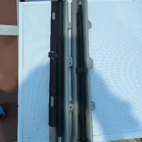 2011 siennaň yz zanaweskasy