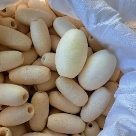 Балберы / поплавки