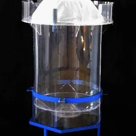 Амур инкубатор