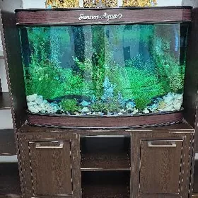 Аквариум с полками