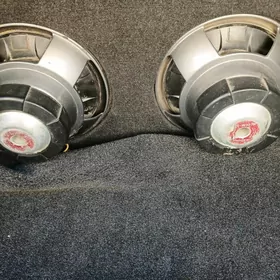 pioner bocka yagdayy gowy