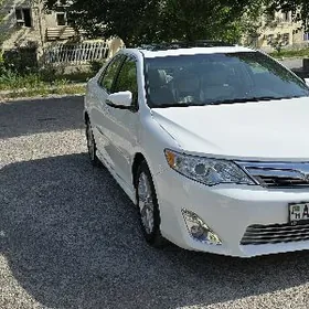 Toyota Camry 2013