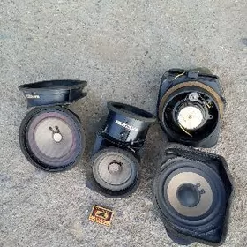 Kalonkalar,rulewoý lenta.