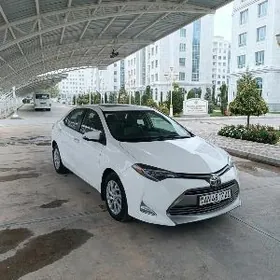 Toyota Corolla 2017
