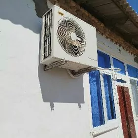 kansener 18 lik spilint