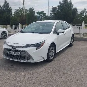Toyota Corolla 2020