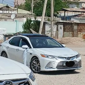 Toyota Camry 2020