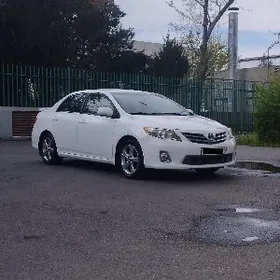 Toyota Corolla 2011