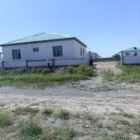 Jaý pylan 30 ýylyk