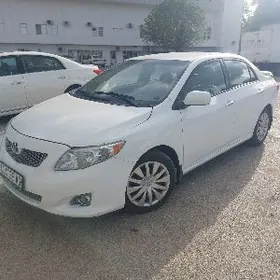 Toyota Corolla 2010