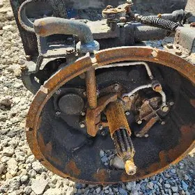 karopga hiwa 10 skor