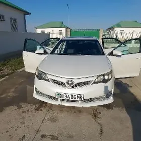 Toyota Camry 2013