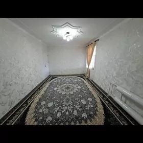 satlyk eyesinden jay