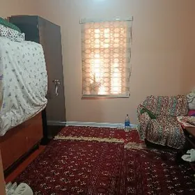 Frunza Karamzina Howly jay