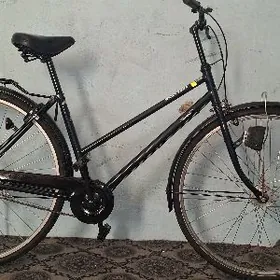 tigir welo ÿaposka 27