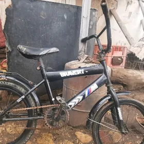 брайвер 16лик