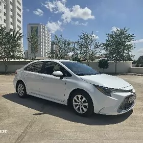 Toyota Corolla 2021