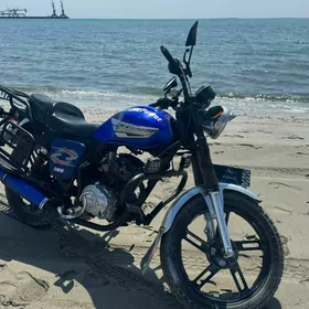 Fekon FK200-14G 2022