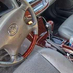 Toyota Camry 2002