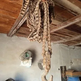 zynjyr