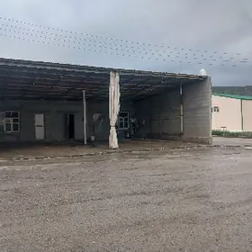 moyka isgar gozlayan