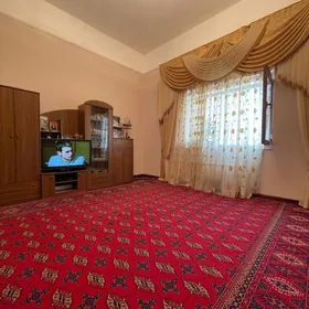 Newt Gaz Elitka 4-kom