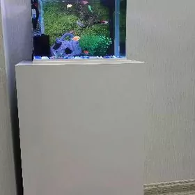 akwarium zawodskoy аквариум