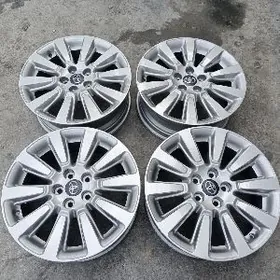 18 sienna radnoy disga