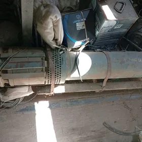 Gubini nasos ysgywažny 10 luk