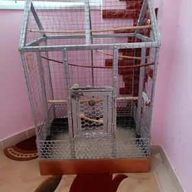 клетка, kletka