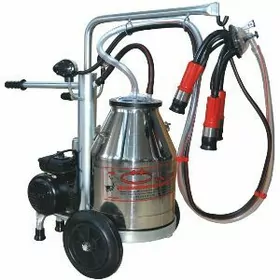 Sygyr sagylyan enjam