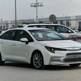 Toyota Corolla 2020