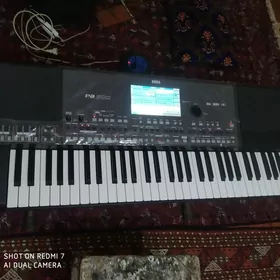 Korg Pa 600 Paket