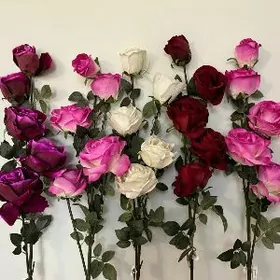 Цветы Декоративные